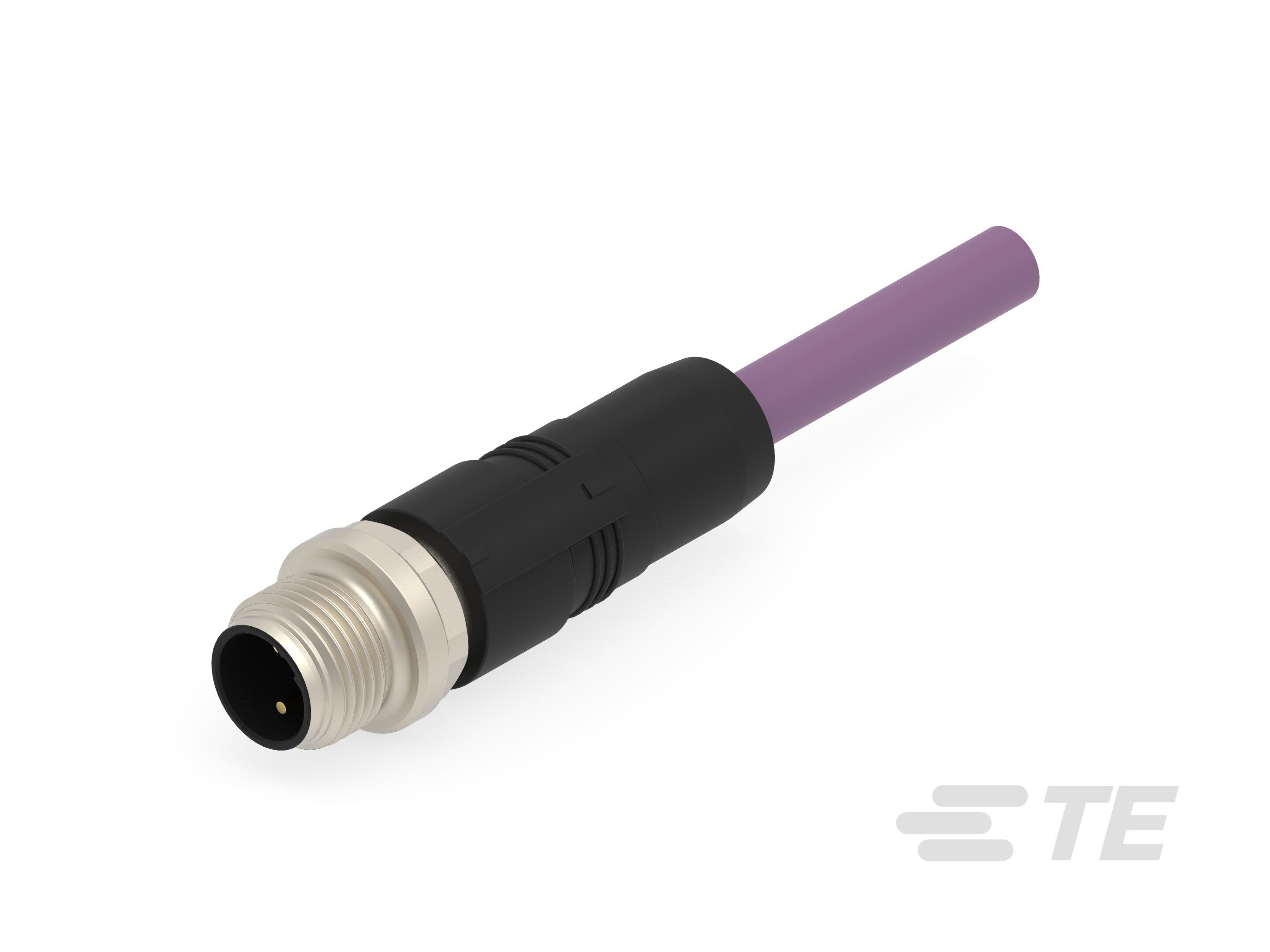 Te Entrelec - Cordons, Mâle, M12 Queue de cochon, Droit, Violet