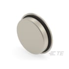 Te Entrelec - Accessoire pour PE : bouchon aveugle, filetage PG, Laiton nickelé