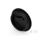 Te Entrelec - Accessoire pour PE : bouchon aveugle, filetage PG, polyamide, noir