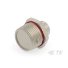 Te Entrelec - Accessoire pour PE : bouchons d'évacuation, filetage NPT, Laiton nickelé