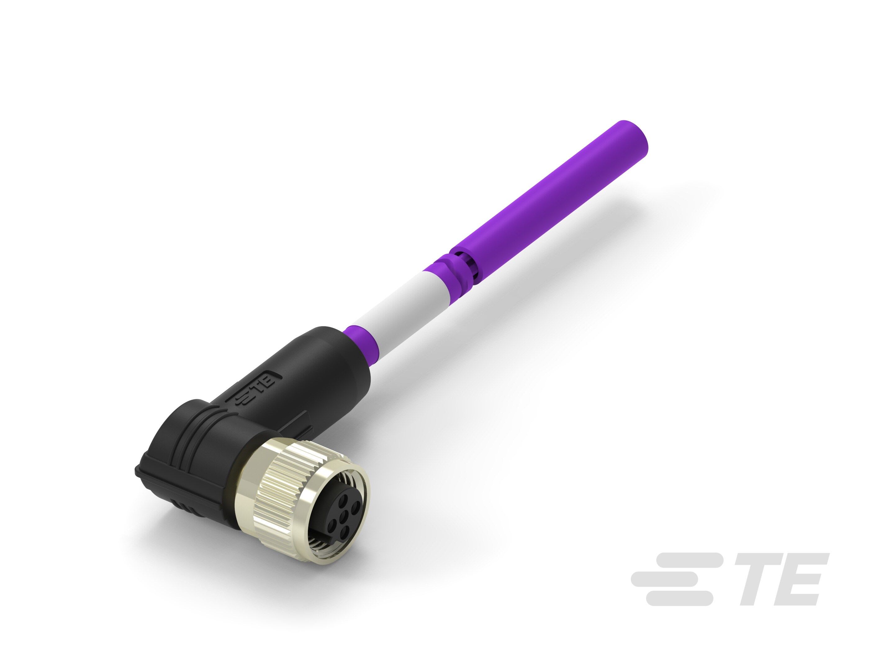 Te Entrelec - Cordons, Femelle, M12 Queue de cochon, Angle Droit, Violet