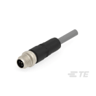 Te Entrelec - Cordons, M12 Queue de cochon, Droit, Gris