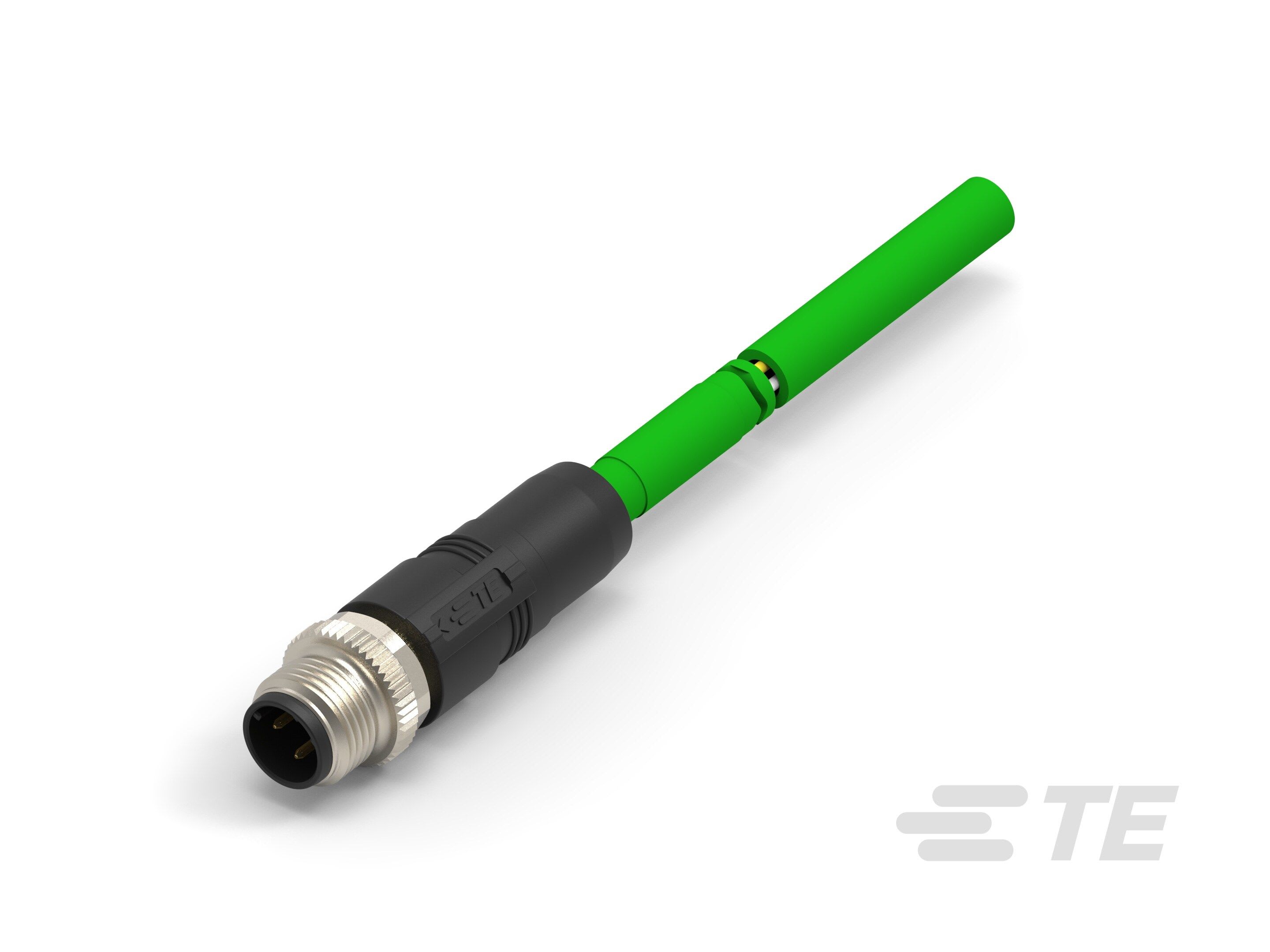 Te Entrelec - Cordons, Mâle, M12 Queue de cochon, Droit, Vert