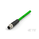 Te Entrelec - Cordons, Mâle, M12 Queue de cochon, Droit, Vert