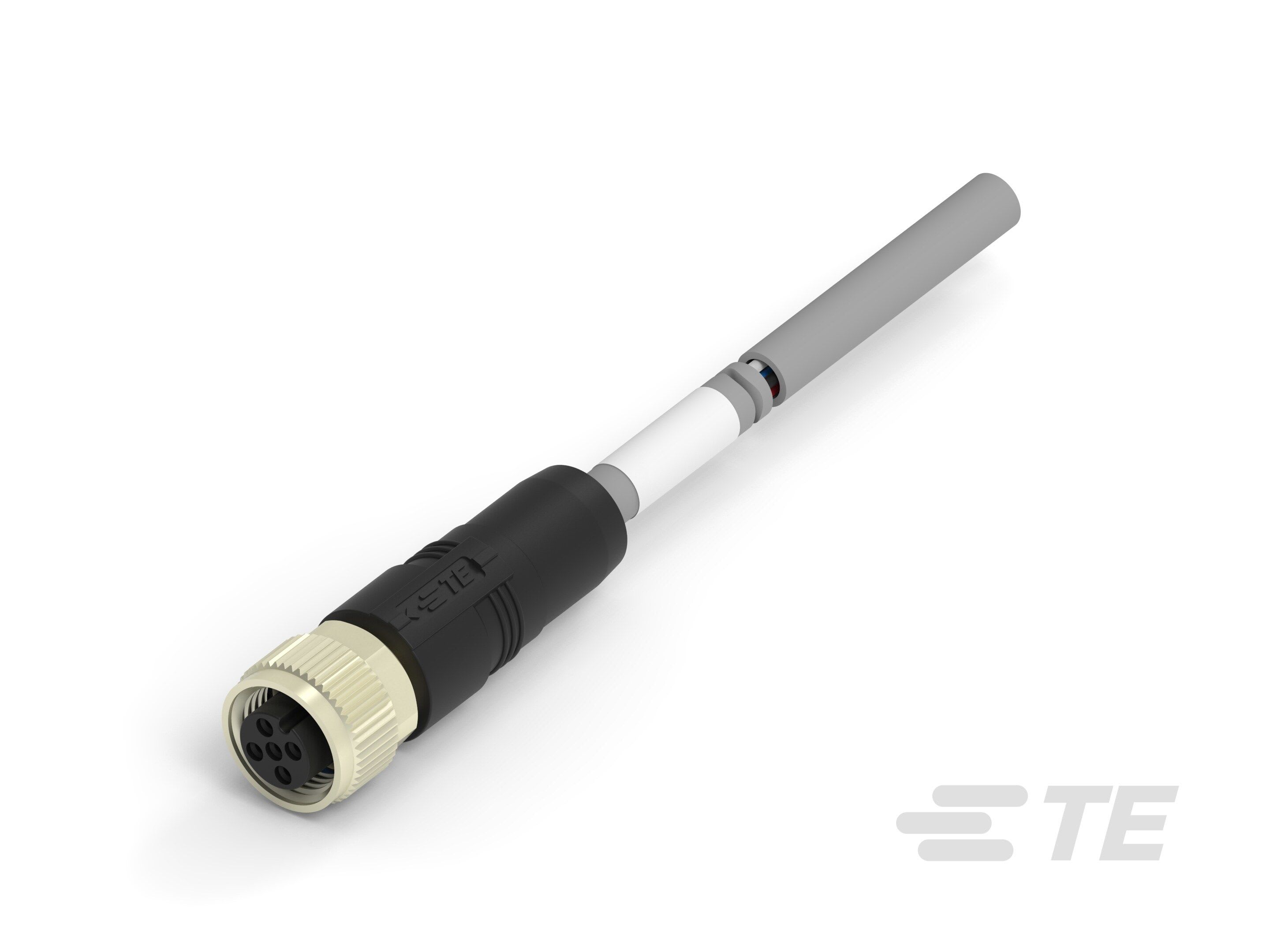 Te Entrelec - Cordons, Femelle, M12 Queue de cochon, Droit, Gris