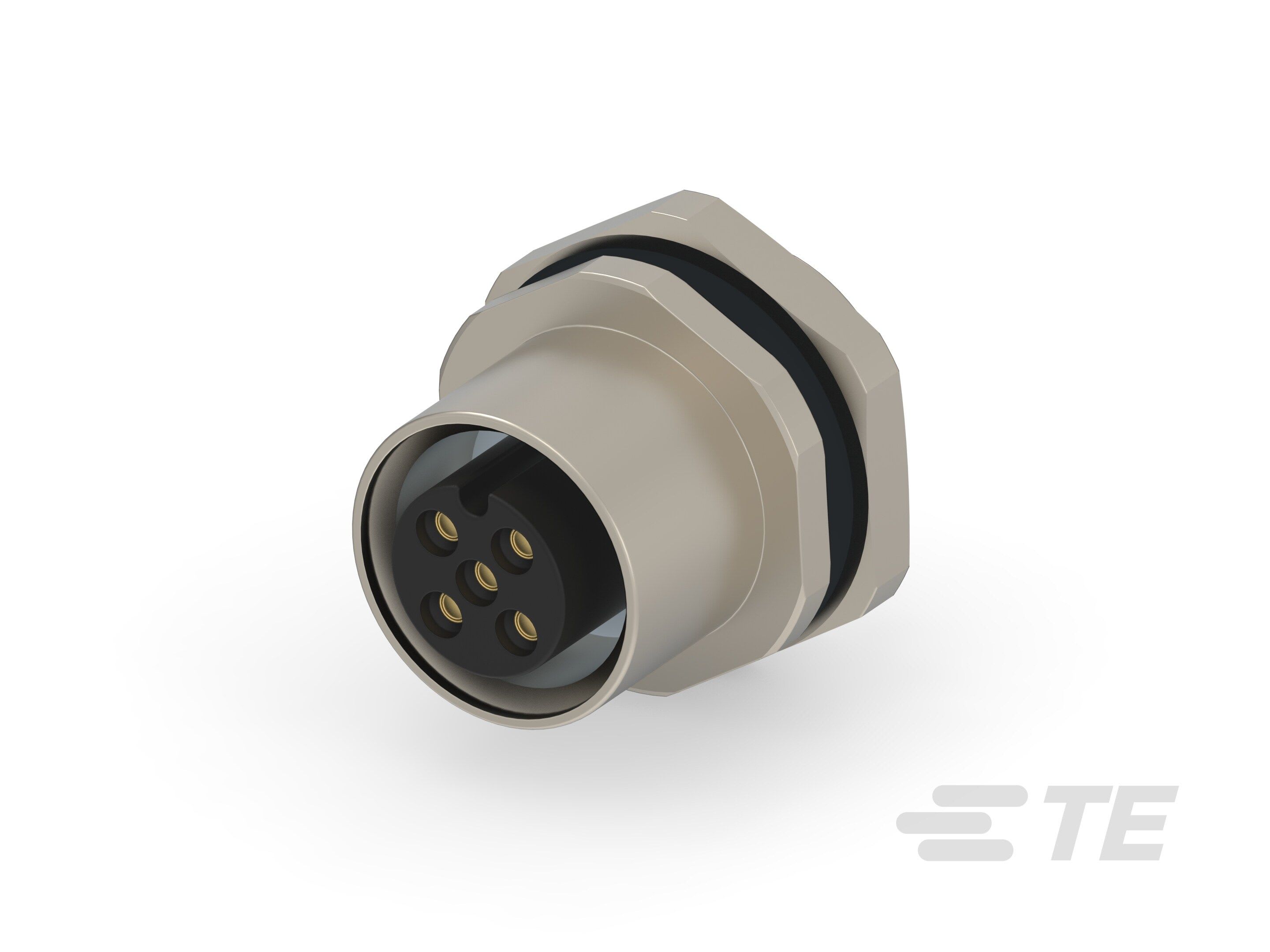 Te Entrelec - Connecteur Femelle, M12, Alliage cuivre, Polyamide,Noir