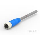 Te Entrelec - Cordons, Femelle, M12 Queue de cochon, Droit, Gris