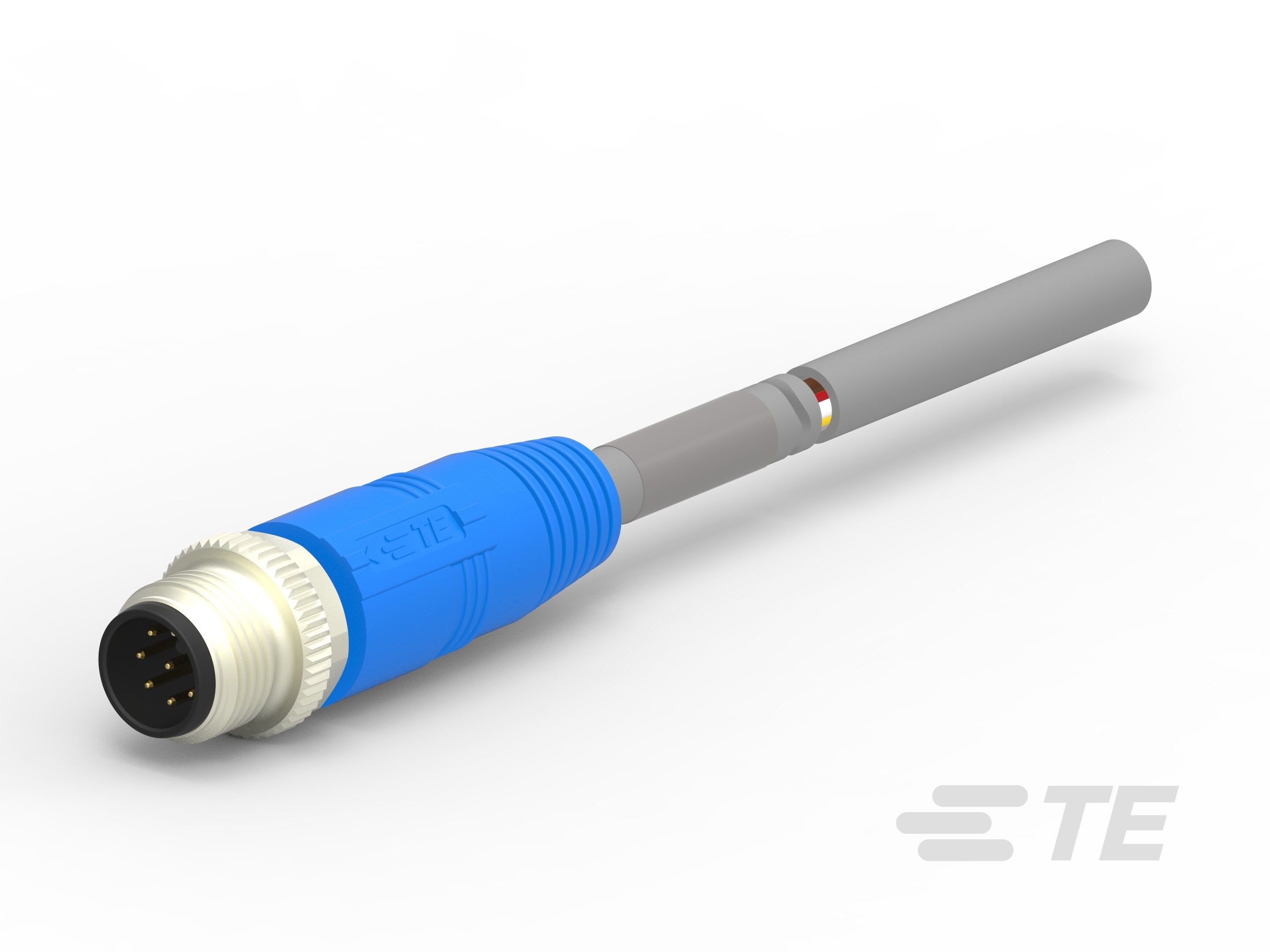 Te Entrelec - Cordons, Mâle, M12 Queue de cochon, Droit, Gris