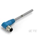 Te Entrelec - Cordons, Mâle, M12 Queue de cochon, Angle Droit, Gris