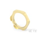 Te Entrelec - Accessoire pour PE : bouchons d'évacuation, filetage NPT, Laiton nickelé