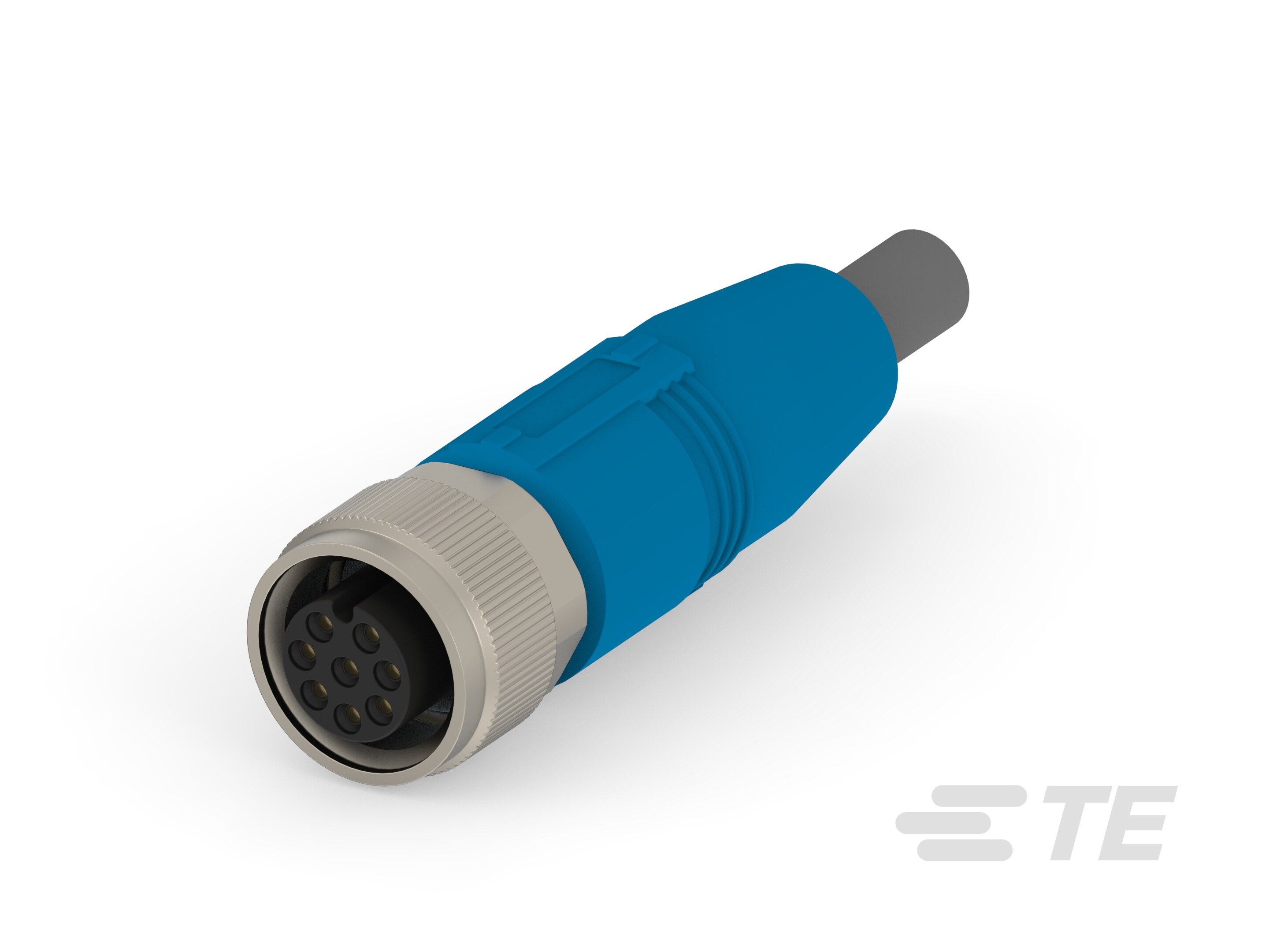 Te Entrelec - Cordons, Femelle, M12 Queue de cochon, Droit, Gris