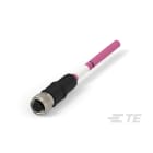 Te Entrelec - Cordons, Femelle, M12 Queue de cochon, Droit, Violet