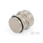 Te Entrelec - Presse-étoupe (sans contre-écrou), filetage PG, Laiton nickelé (Taille C)