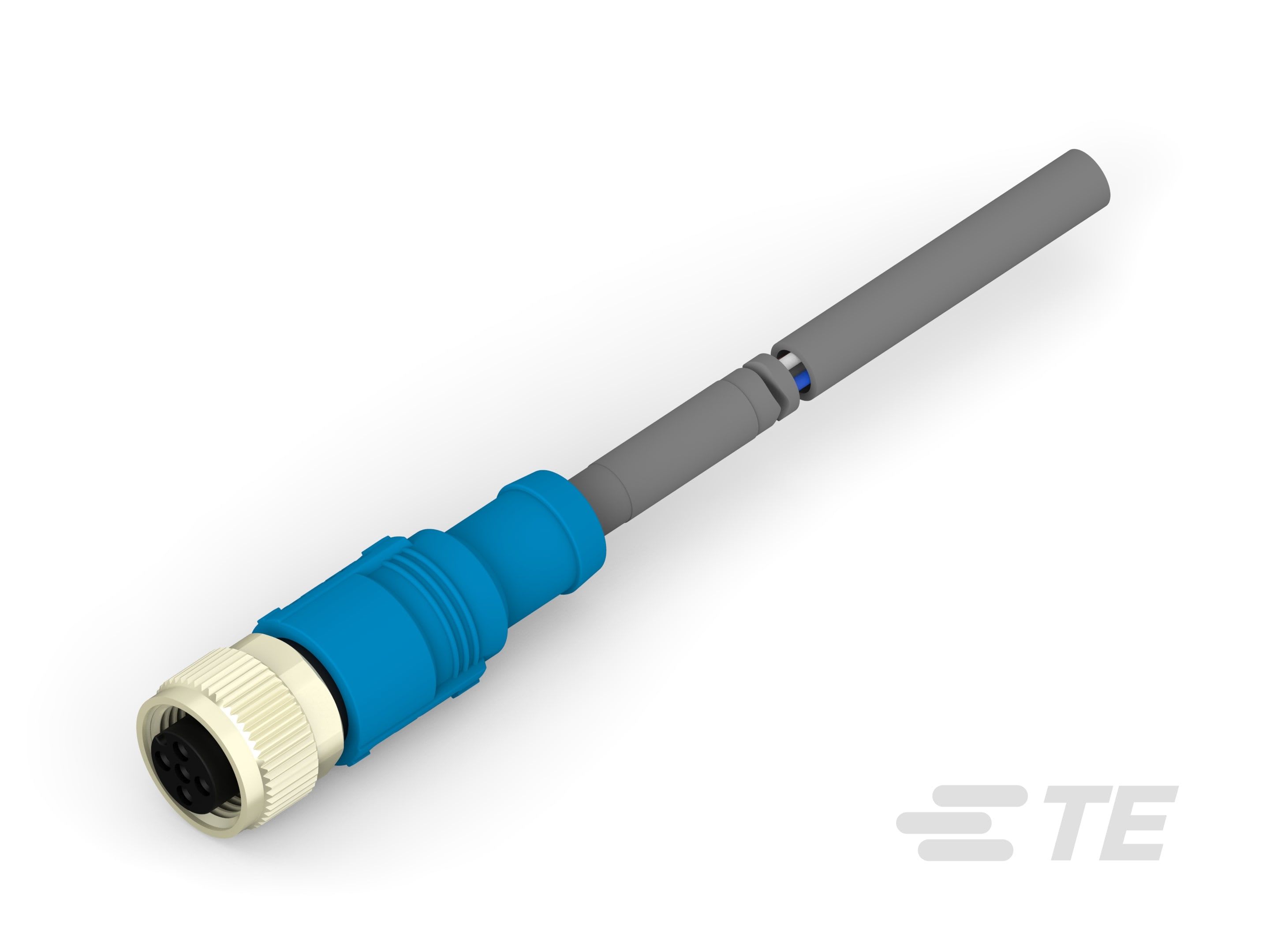 Te Entrelec - Cordons, Femelle, M12 Queue de cochon, Droit, Gris