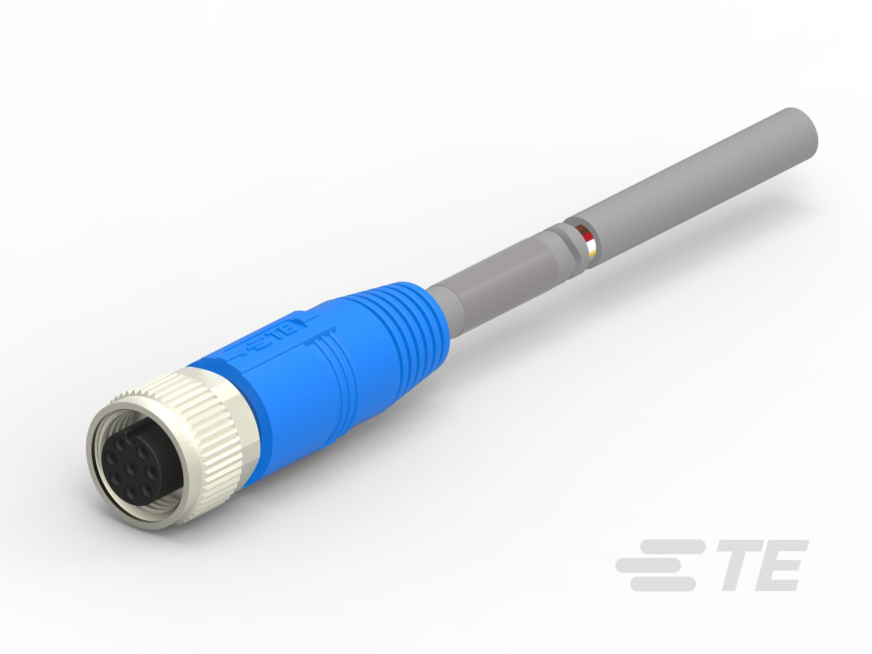 Te Entrelec - Cordons, Femelle, M12 Queue de cochon, Droit, Gris