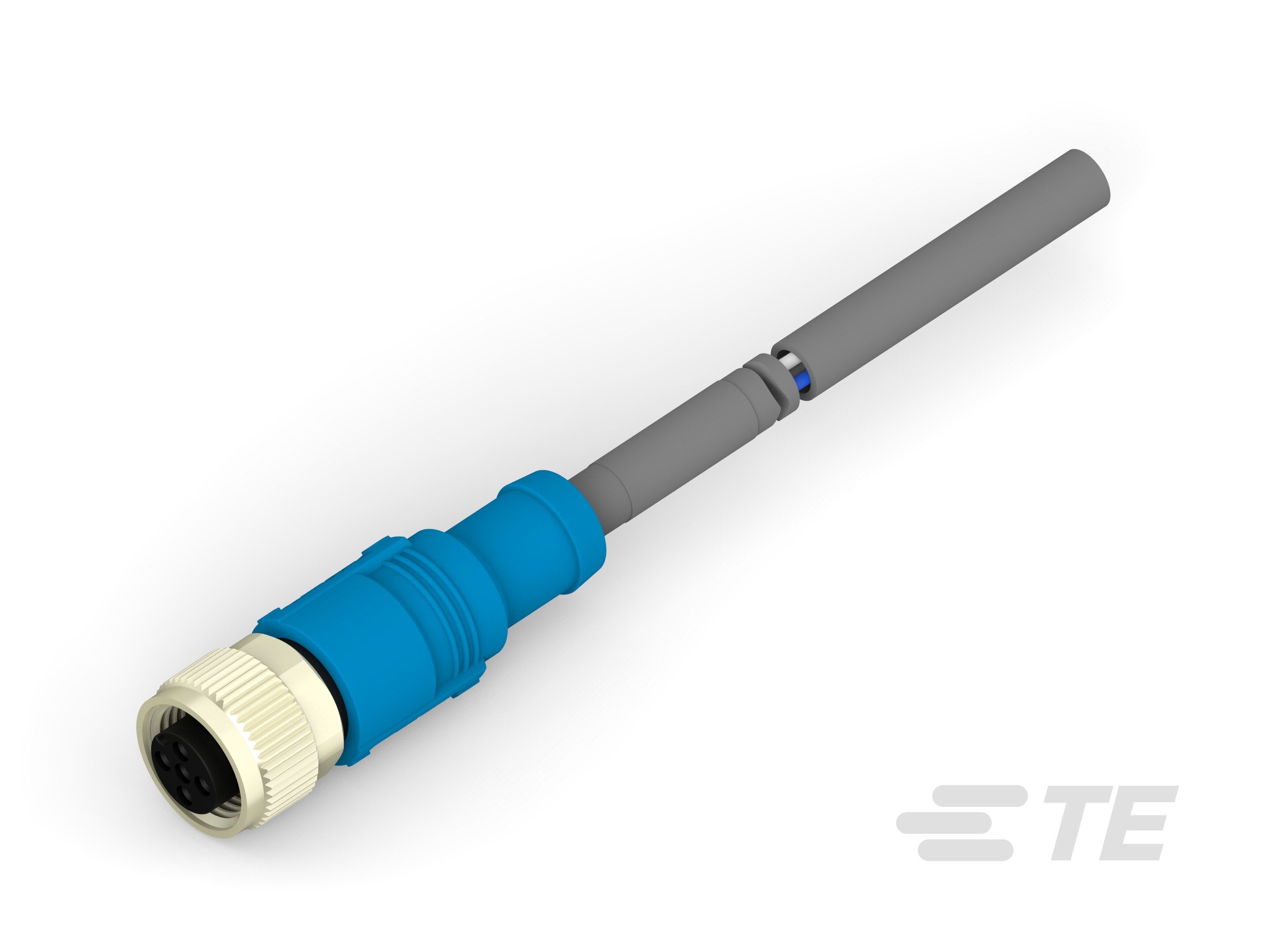 Te Entrelec - Cordons, Femelle, M12 Queue de cochon, Droit, Gris