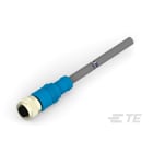 Te Entrelec - Cordons, Femelle, M12 Queue de cochon, Droit, Gris