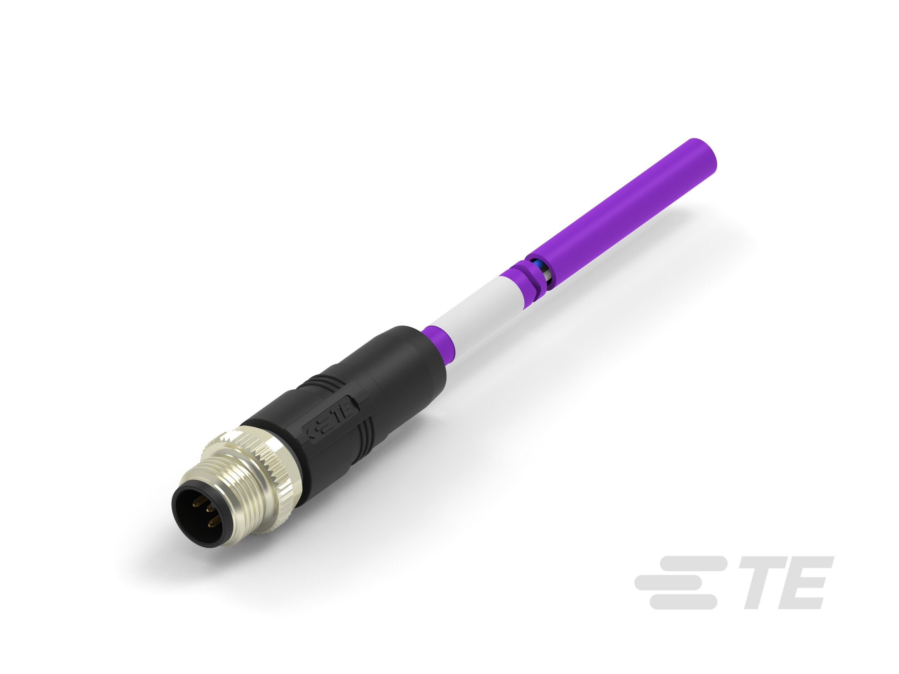 Te Entrelec - Cordons, M12 Queue de cochon, Droit, Violet