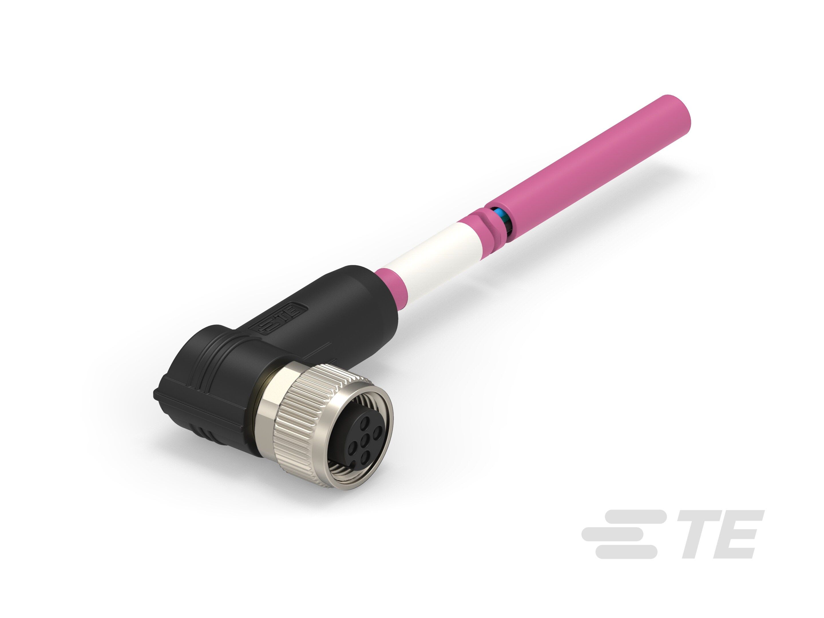 Te Entrelec - Cordons, Femelle, M12 Queue de cochon, Angle Droit, Violet