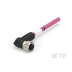 Te Entrelec - Cordons, Femelle, M12 Queue de cochon, Angle Droit, Violet