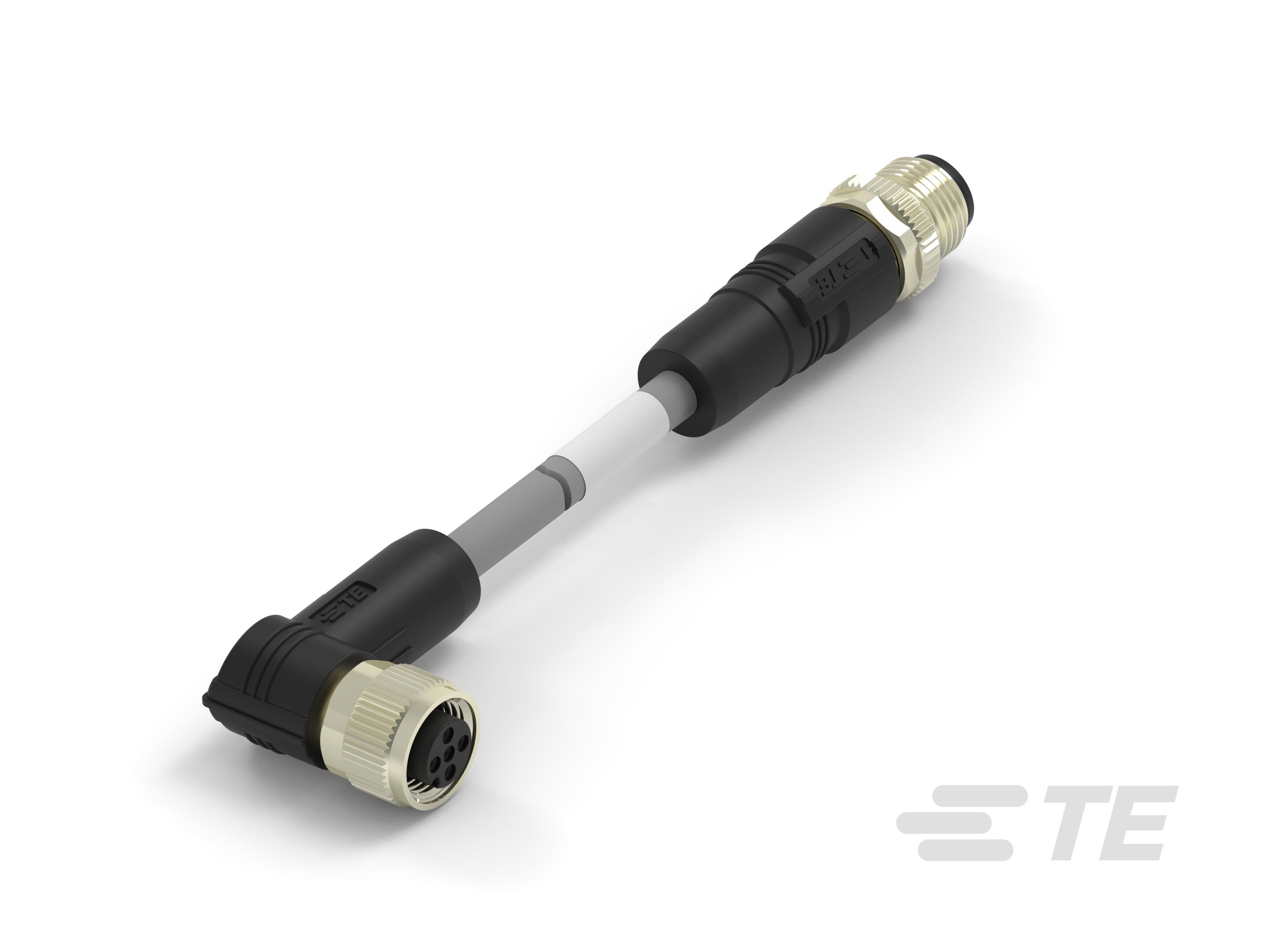 Te Entrelec - Cordons, Connecteur/Femelle, M12 vers M12, Gris