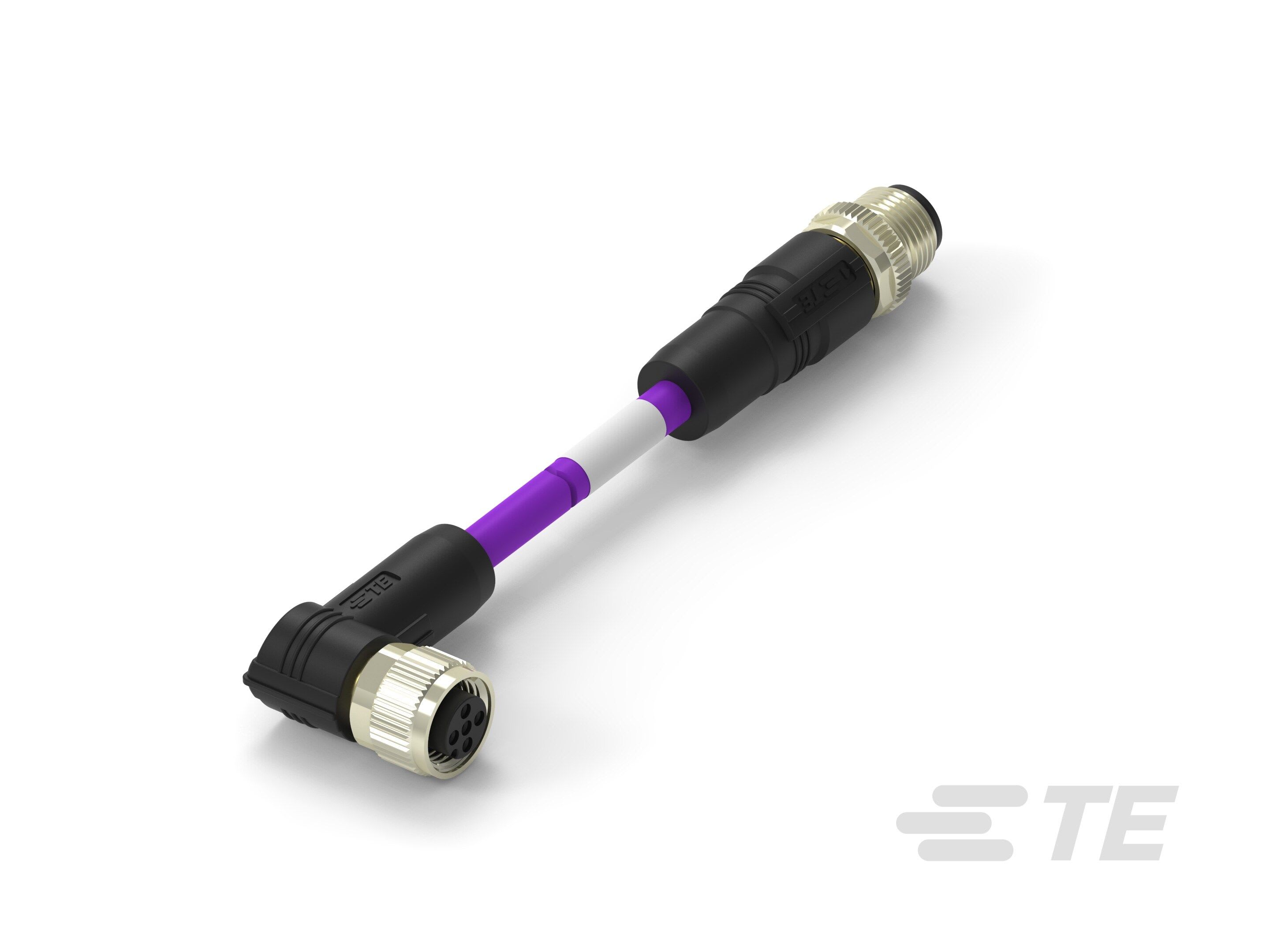 Te Entrelec - Cordons, Connecteur/Femelle, M12 vers M12, Violet