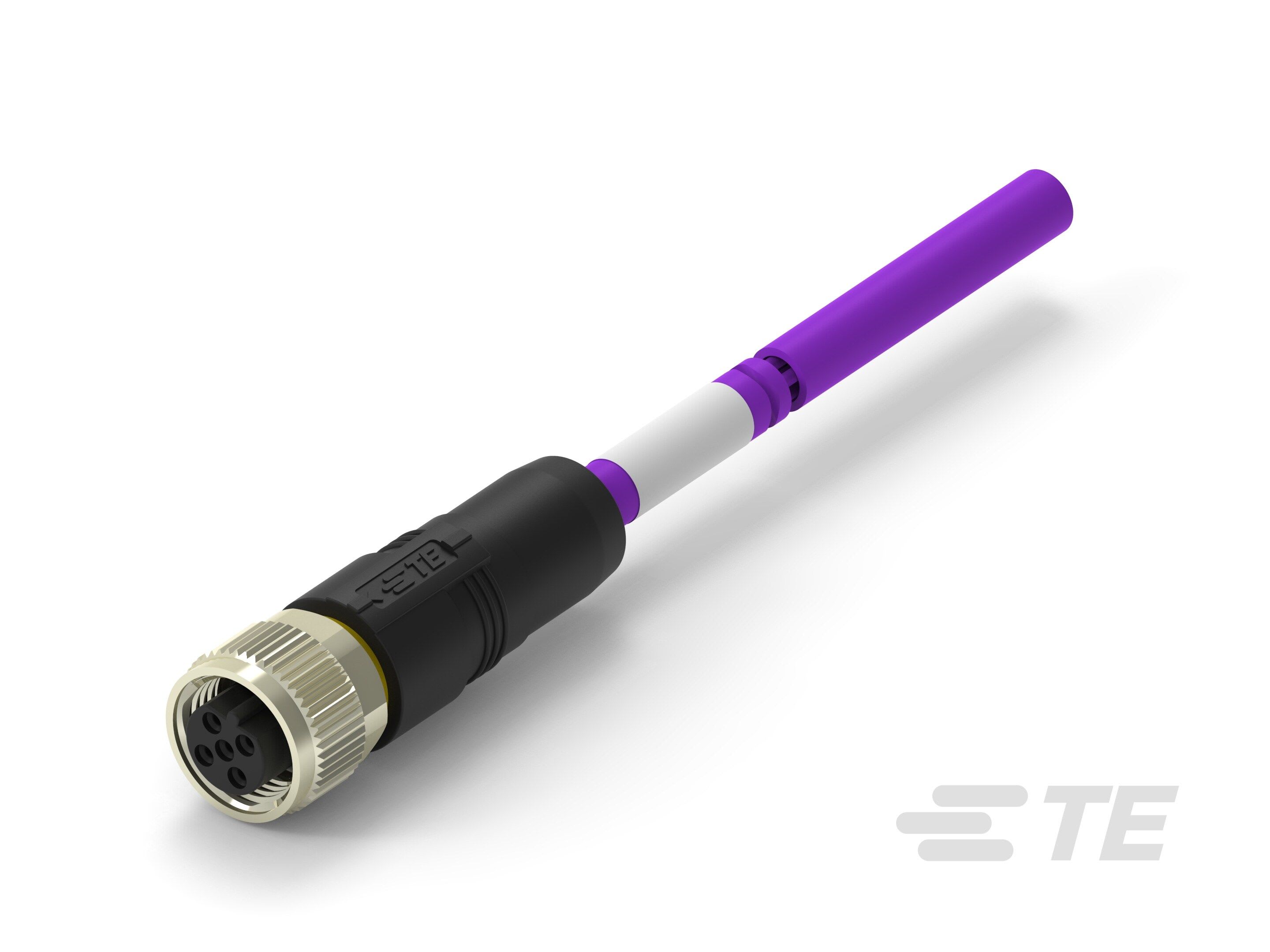 Te Entrelec - Cordons, Femelle, M12 Queue de cochon, Droit, Violet