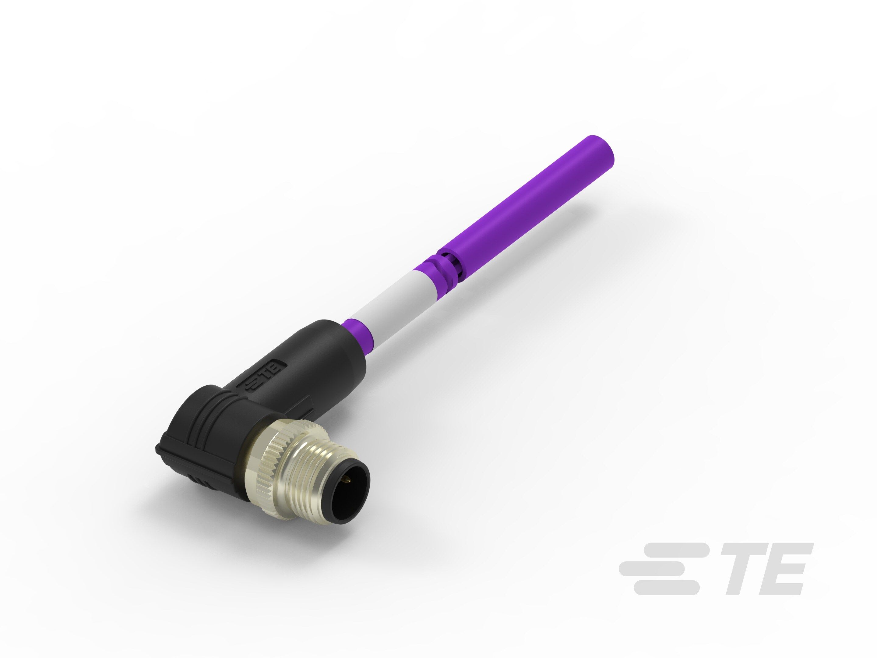 Te Entrelec - Cordons, Mâle, M12 Queue de cochon, Angle Droit, Violet