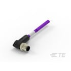 Te Entrelec - Cordons, Mâle, M12 Queue de cochon, Angle Droit, Violet