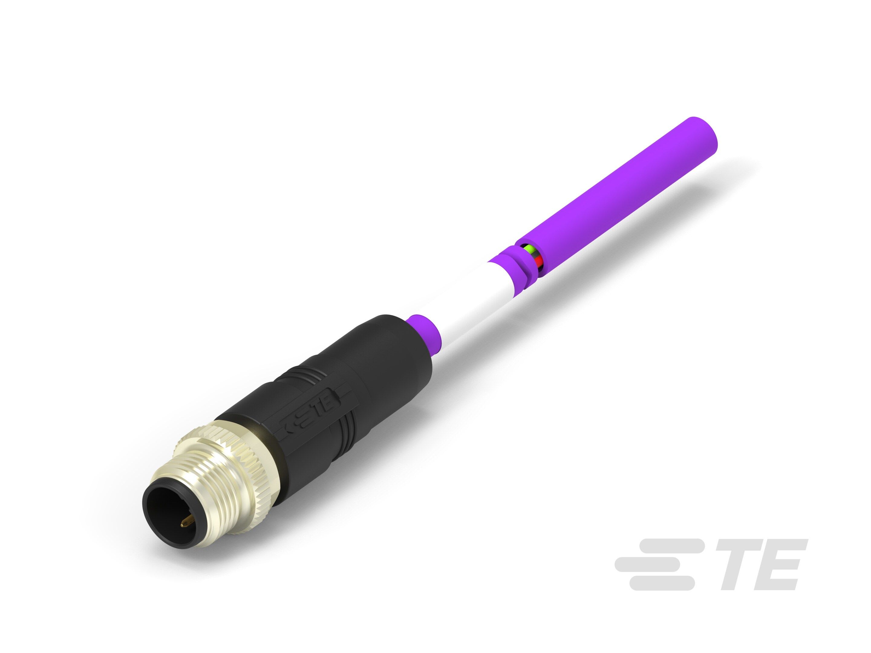 Te Entrelec - Cordons, Mâle, M12 Queue de cochon, Droit, Violet