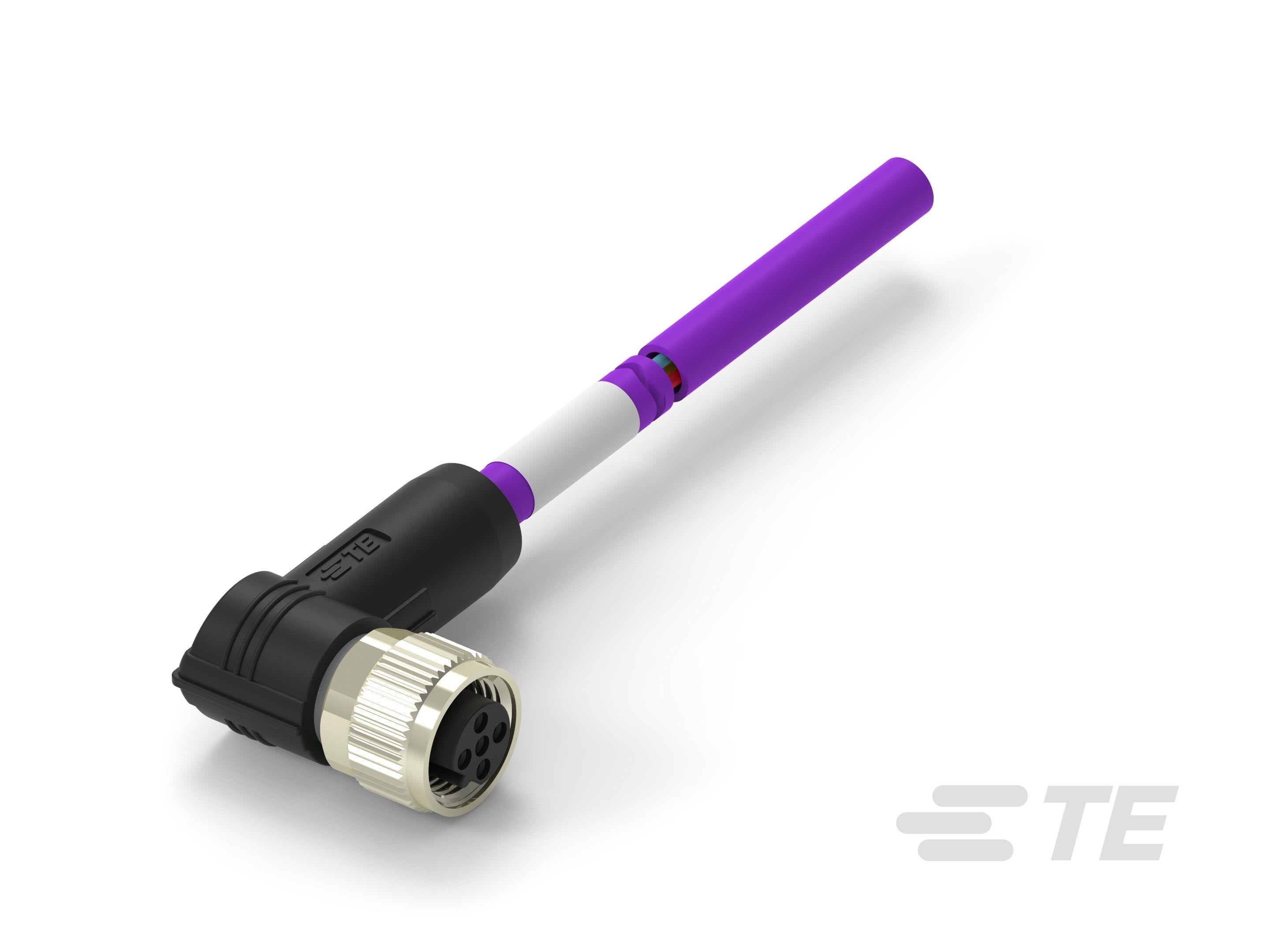 Te Entrelec - Cordons, Femelle, M12 Queue de cochon, Angle Droit, Violet