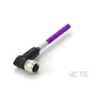 Te Entrelec - Cordons, Femelle, M12 Queue de cochon, Angle Droit, Violet