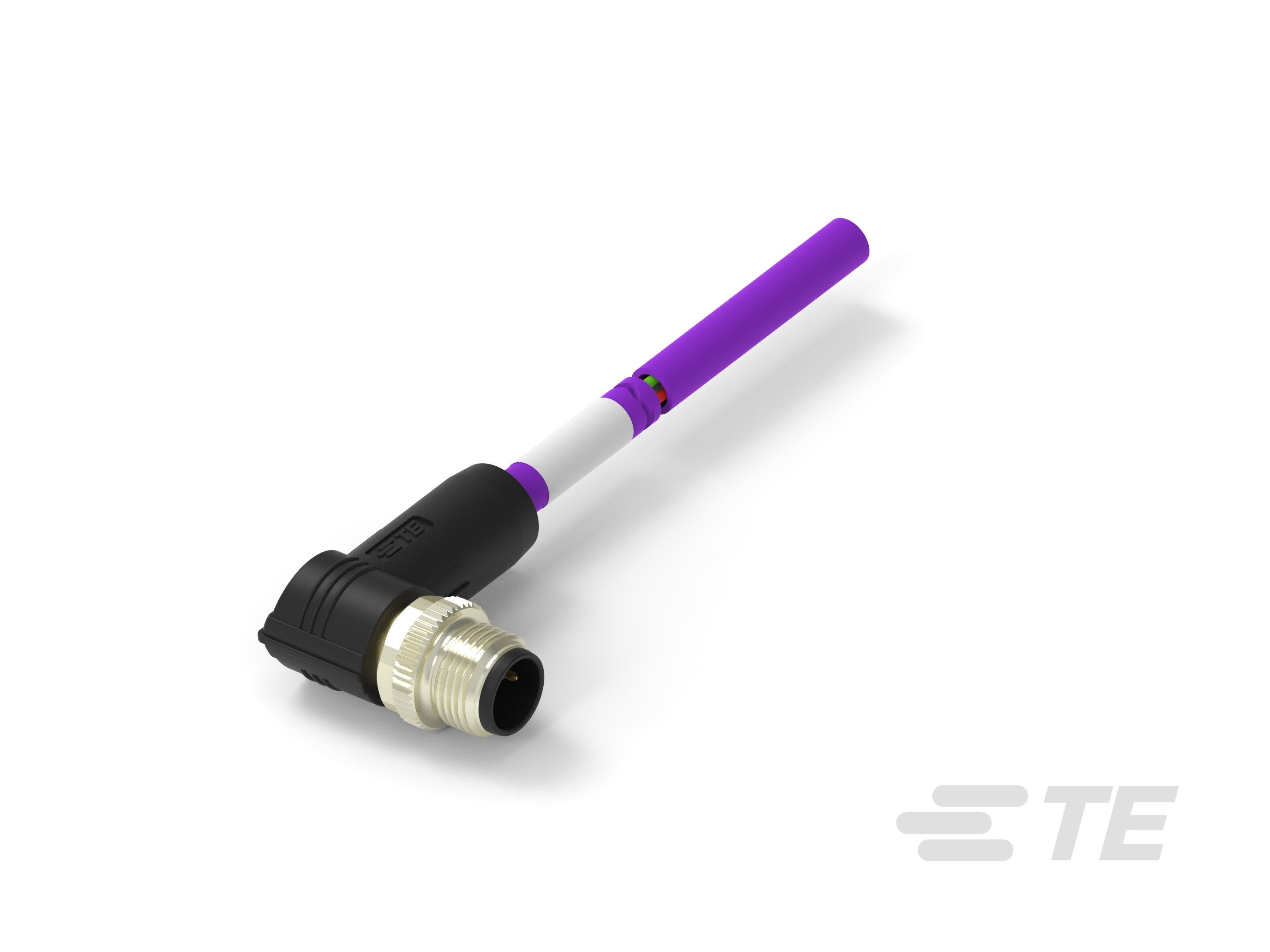 Te Entrelec - Cordons, Mâle, M12 Queue de cochon, Angle Droit, Violet