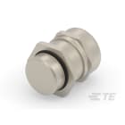 Te Entrelec - Presse-étoupe avec contre-écrou, filetage NPT, Laiton nickelé (Taille B)