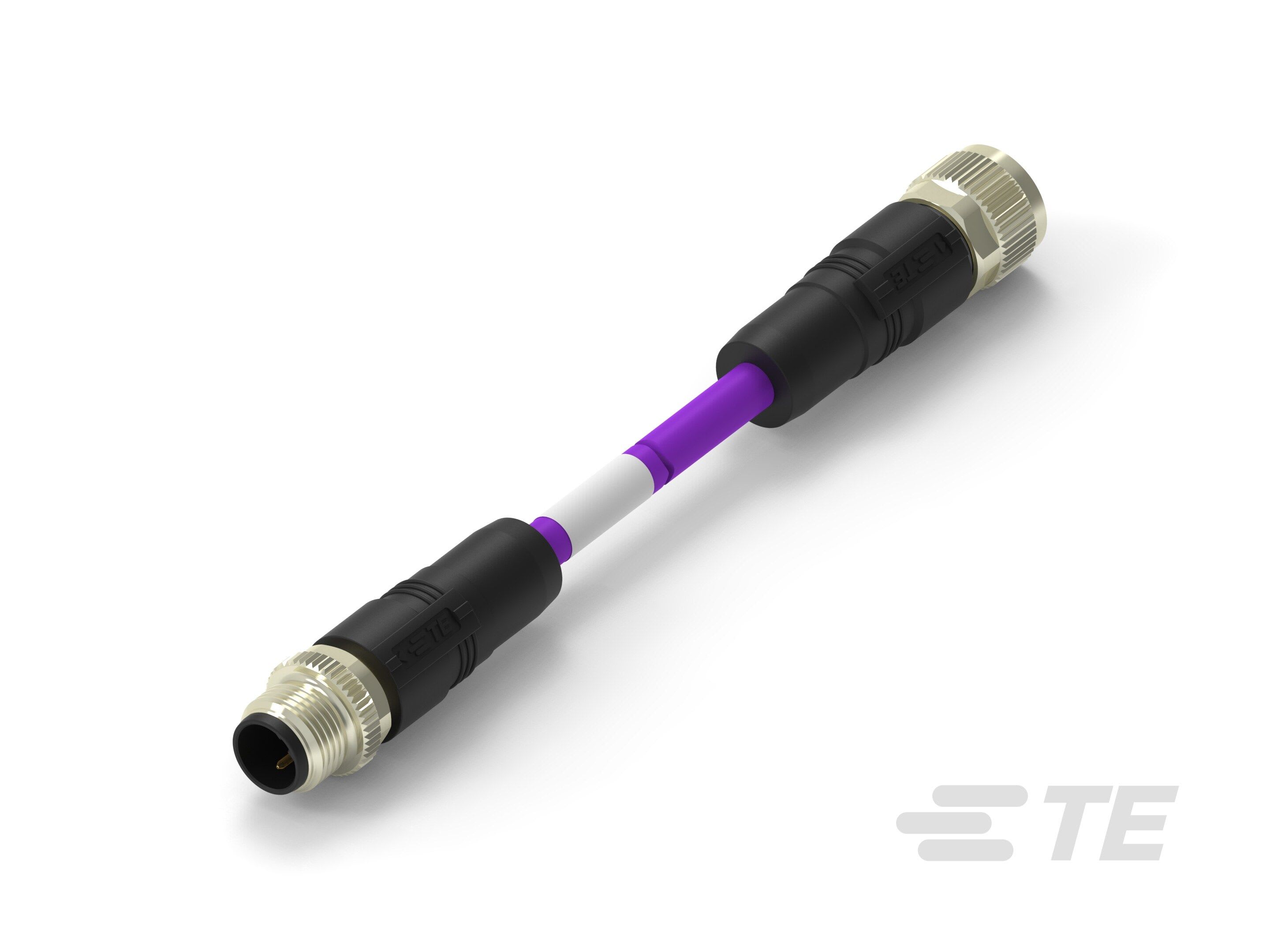 Te Entrelec - Cordons, Connecteur/Femelle, M12 vers M12, Violet