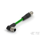 Te Entrelec - Cordons, Mâle/Mâle, M12 vers M12, Vert B-1.0M