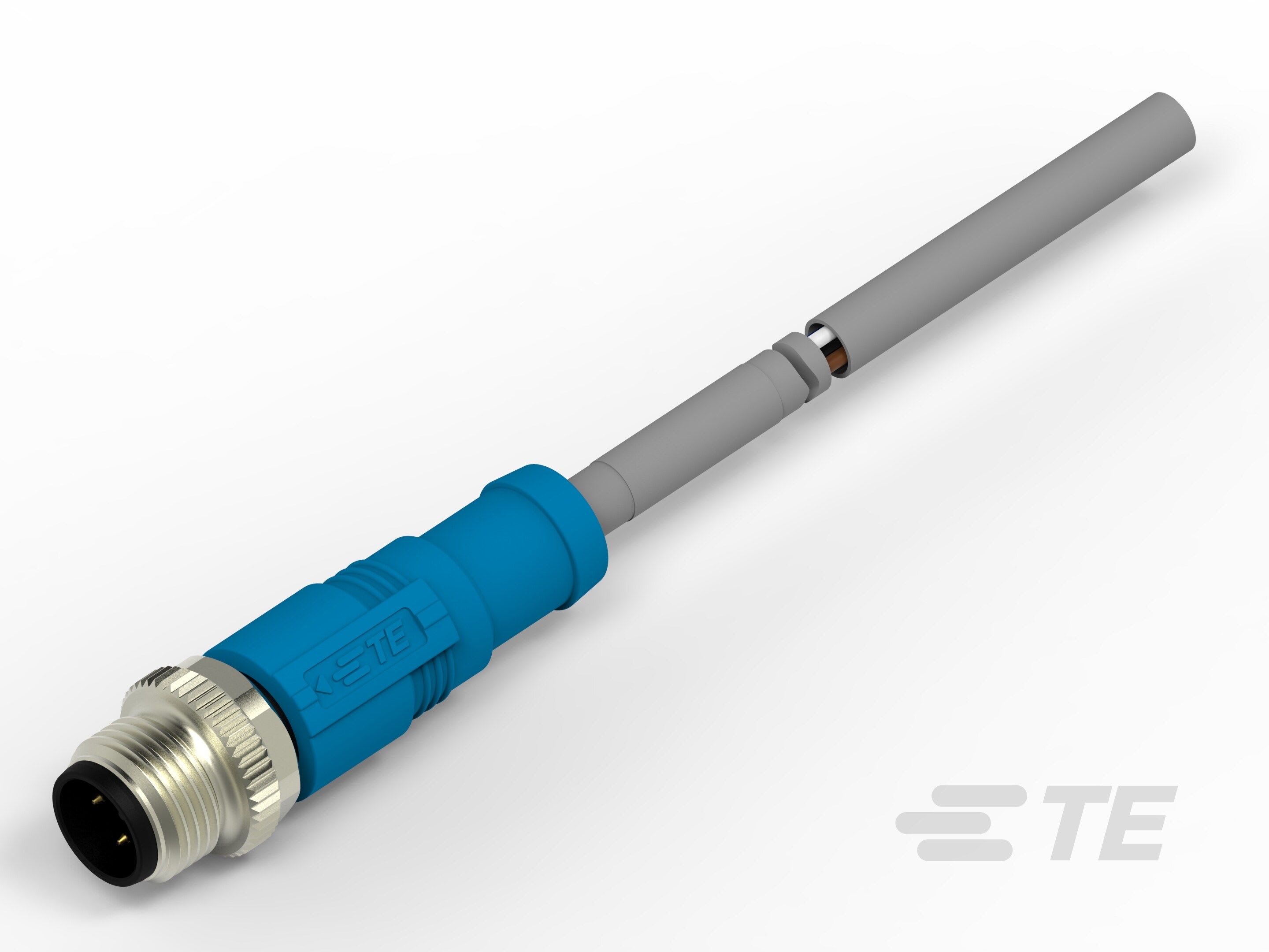 Te Entrelec - Cordons, Mâle, M12 Queue de cochon, Droit, Gris