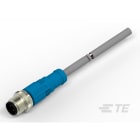 Te Entrelec - Cordons, Mâle, M12 Queue de cochon, Droit, Gris