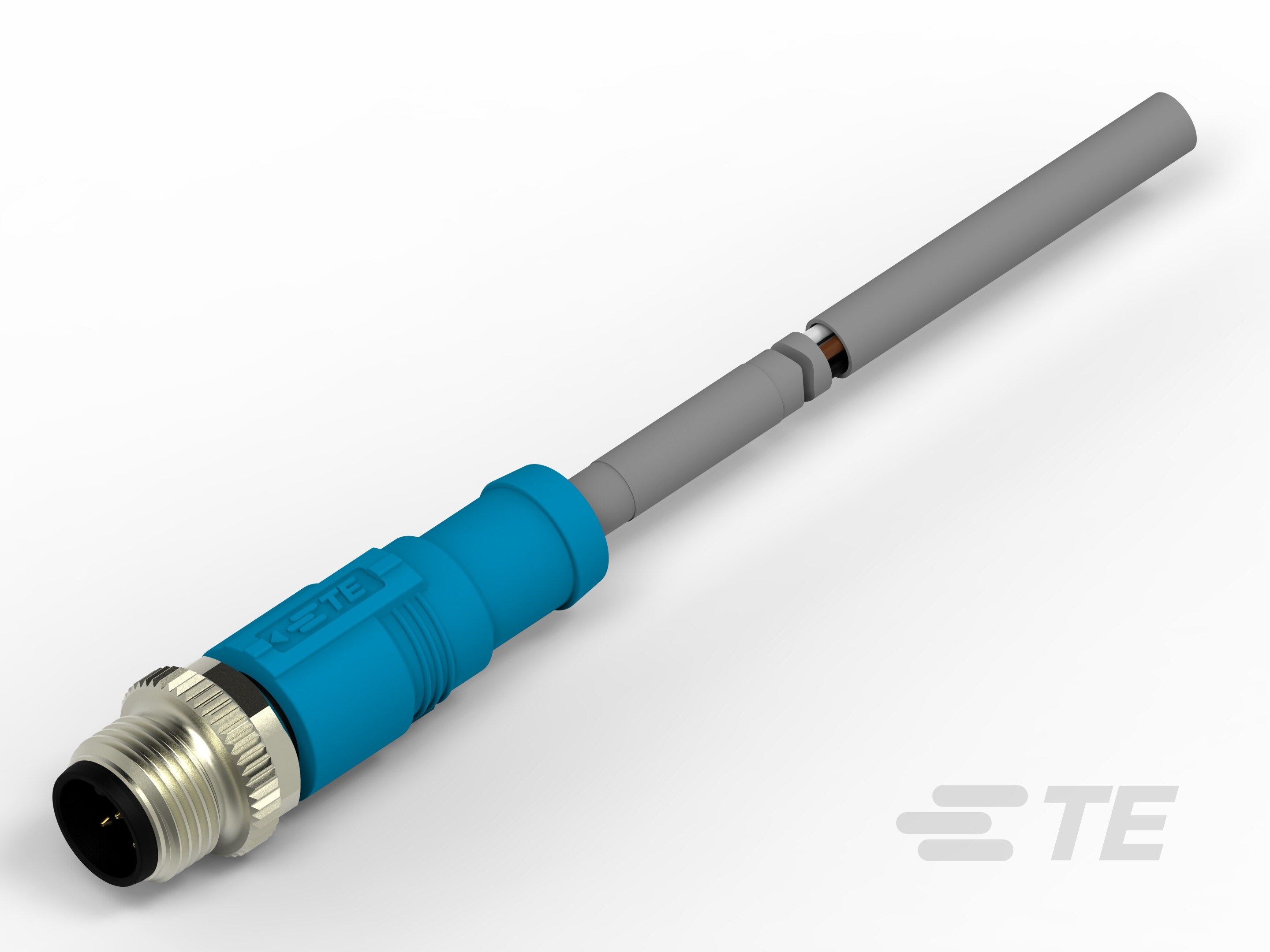 Te Entrelec - Cordons, Mâle, M12 Queue de cochon, Droit,