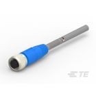 Te Entrelec - Cordons, Femelle, M12 Queue de cochon, Droit, Gris