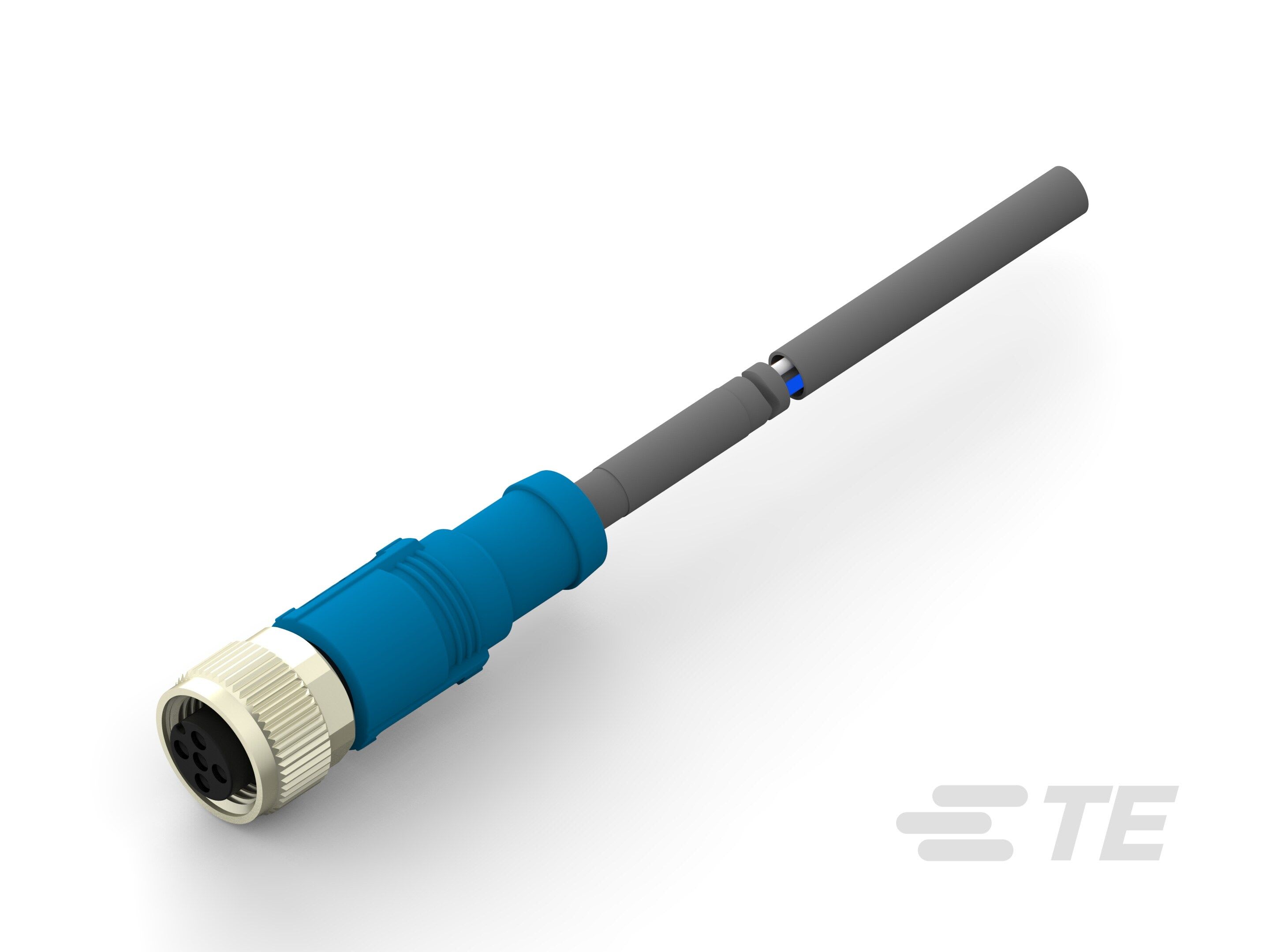 Te Entrelec - Cordons, Femelle, M12 Queue de cochon, Droit,