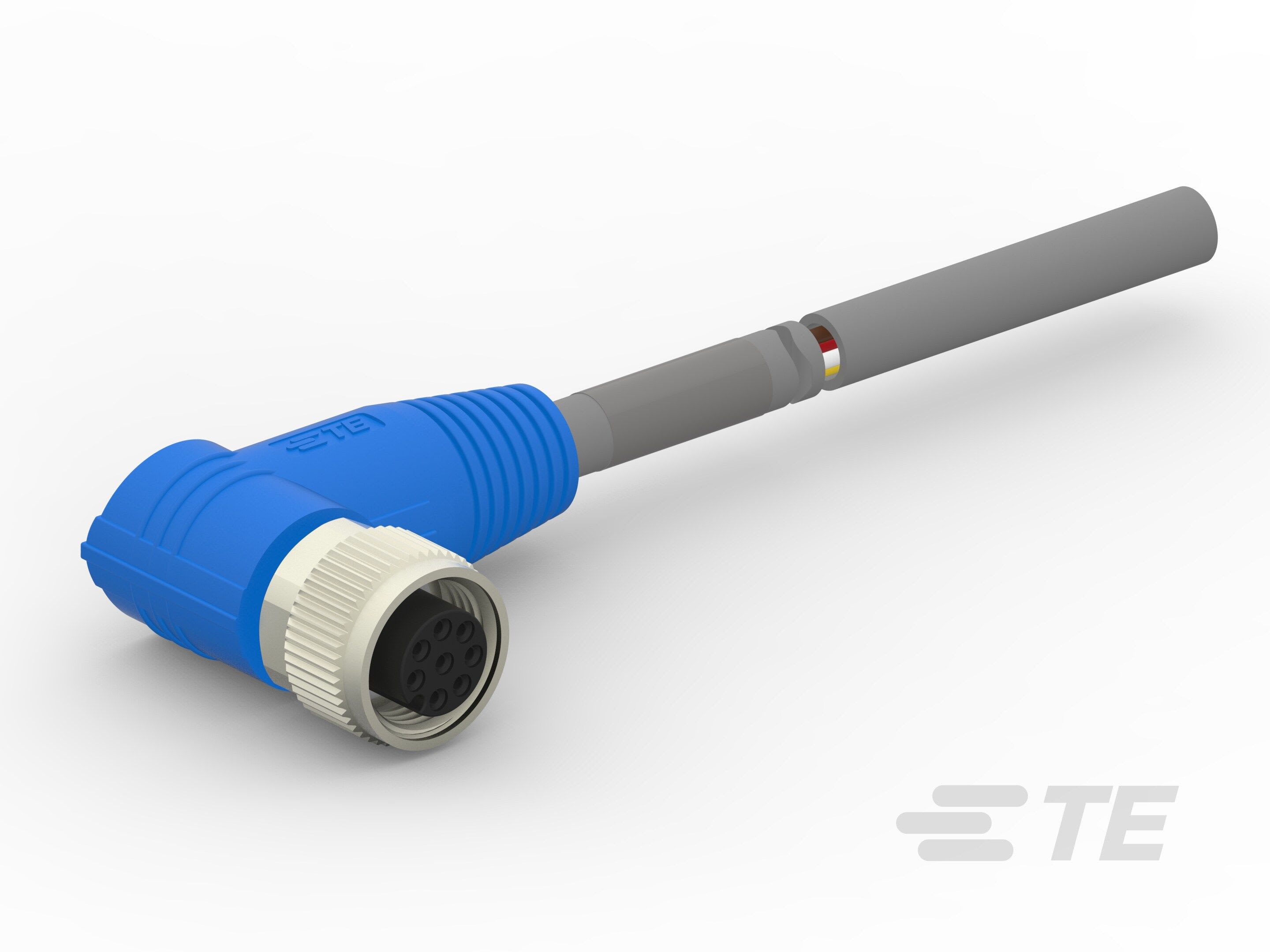 Te Entrelec - Cordons, Femelle, M12 Queue de cochon, Angle Droit, Gris