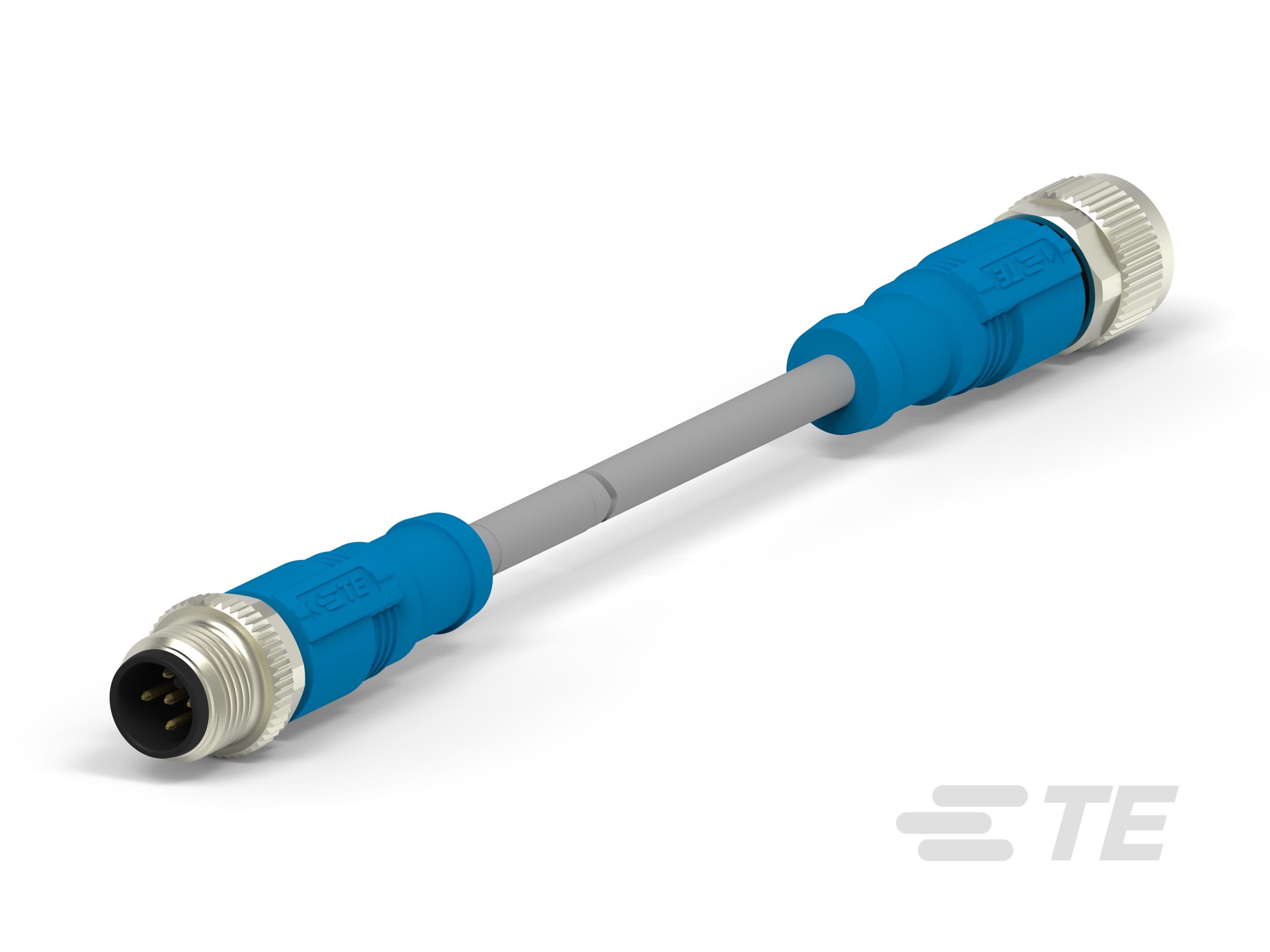 Te Entrelec - Cordons, Connecteur/Femelle, M12 vers M12, Droit, Gris