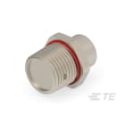 Te Entrelec - Accessoire pour PE : bouchons d'évacuation, filetage NPT, Laiton nickelé