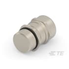 Te Entrelec - Presse-étoupe avec contre-écrou, filetage NPT, Laiton nickelé (Taille B)