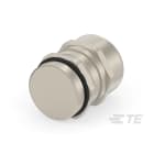 Te Entrelec - Presse-étoupe avec contre-écrou, filetage PG, Laiton nickelé (Taille C)