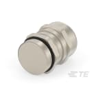 Te Entrelec - Presse-étoupe avec contre-écrou, filetage PG, Laiton nickelé (Taille A)