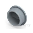 Te Entrelec - Accessoire pour PE : bouchon aveugle, filetage PG, polyamide, gris