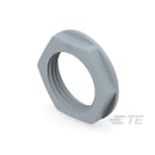 Te Entrelec - Accessoire pour PE : contre-écrou, filetage NPT, polyamide, gris