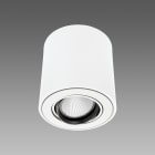 Fosnova - THEMIS R165 Led 33W 2515lm 3000K blanc 38D